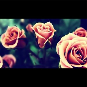 Meet your Posher, Denisse